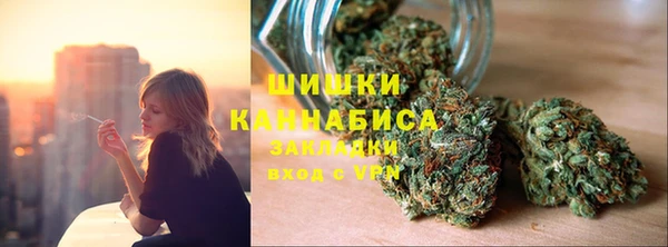 ПСИЛОЦИБИНОВЫЕ ГРИБЫ Пересвет