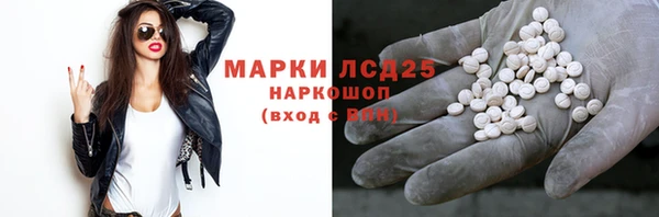 ПСИЛОЦИБИНОВЫЕ ГРИБЫ Пересвет