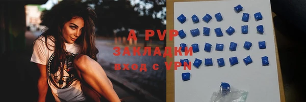 ПСИЛОЦИБИНОВЫЕ ГРИБЫ Пересвет