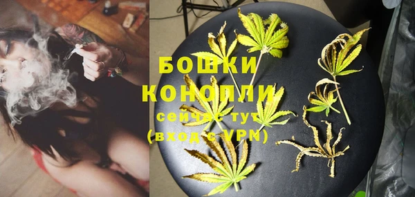 ПСИЛОЦИБИНОВЫЕ ГРИБЫ Пересвет