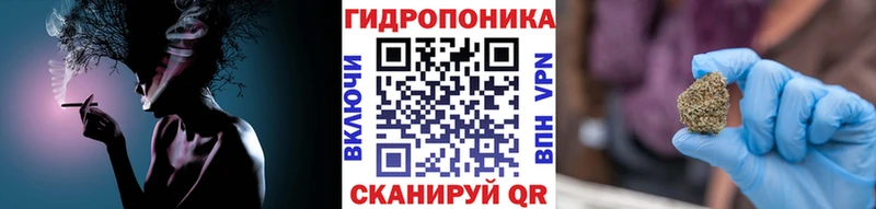 Каннабис планчик  Закаменск 
